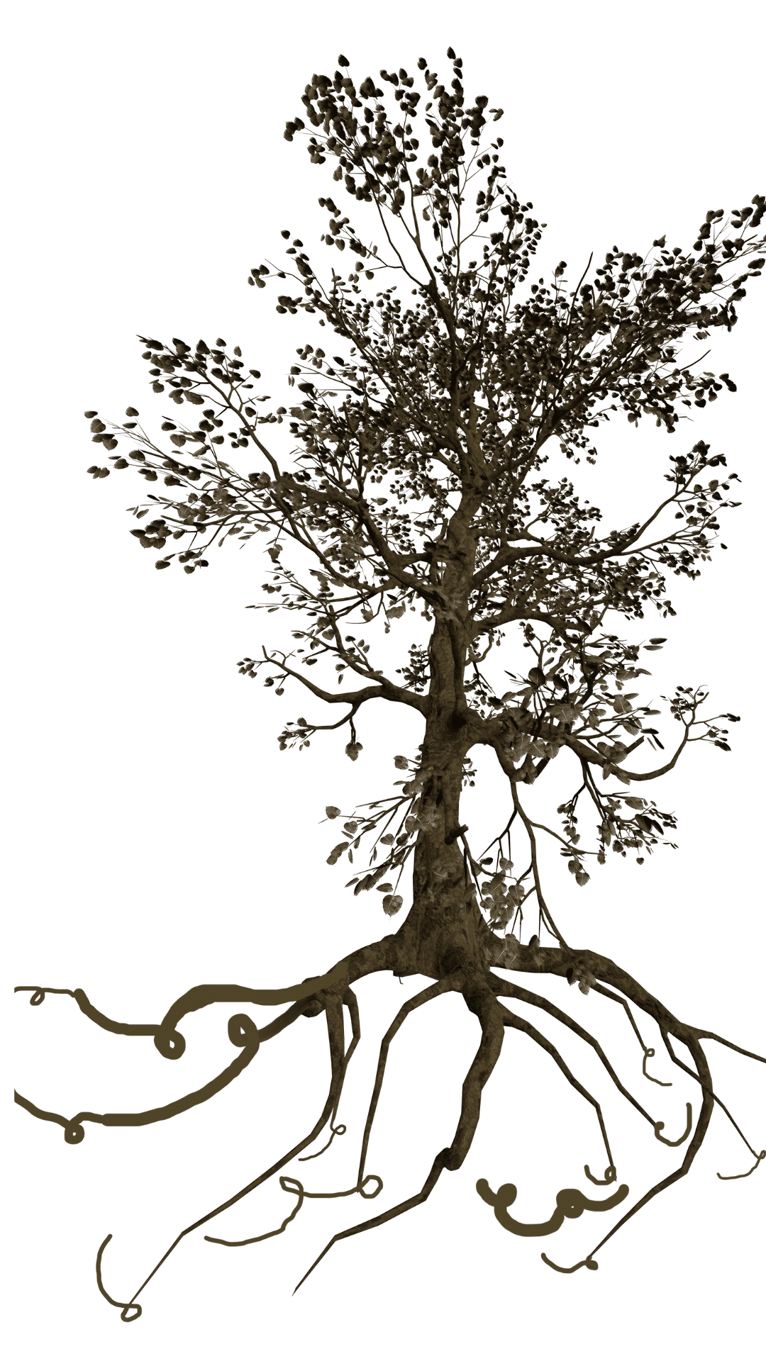 Icona di albero con radici profonde a simboleggiare la chelazione energetica e il radicamento